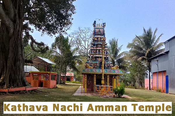 Kathava Nachi Amman Templ